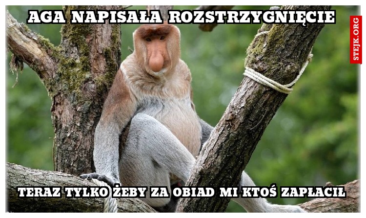 Aga Napisała Rozstrzygnięcie