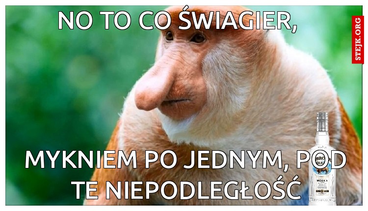 NO TO CO ŚWIAGIER,