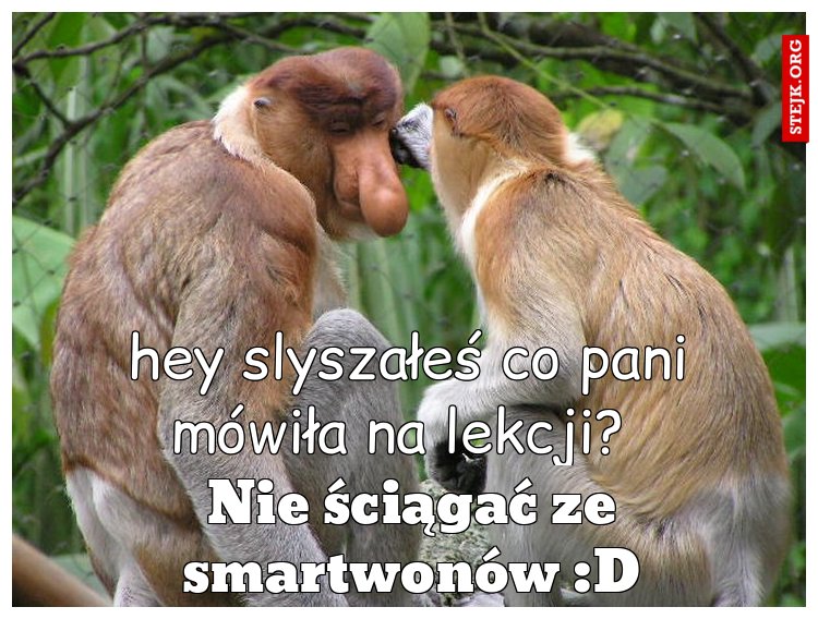 hey slyszałeś co pani mówiła na lekcji? 