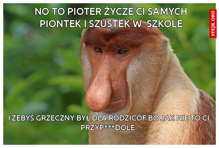 no to pioter życze ci samych piontek i szustek w  szkole