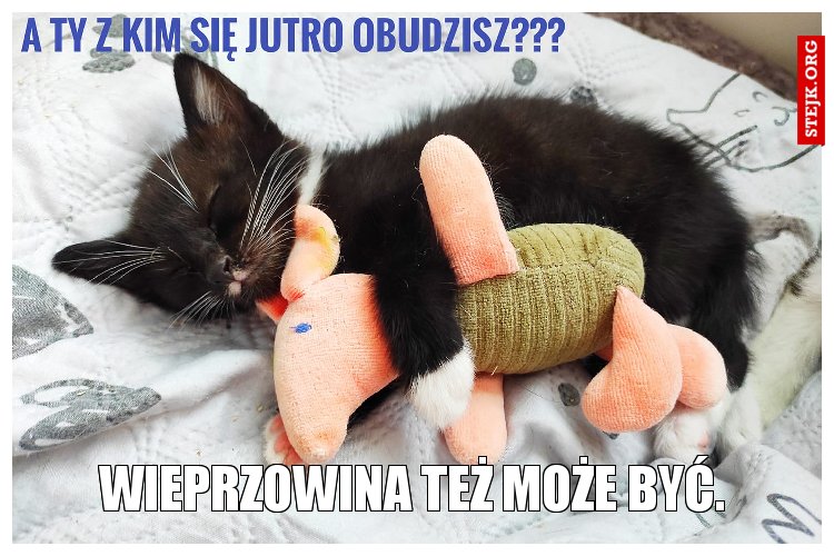 wieprzowina też może być.