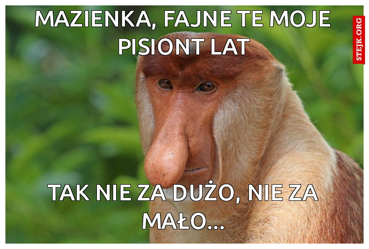 MAZIENKA, FAJNE TE MOJE PISIONT LAT