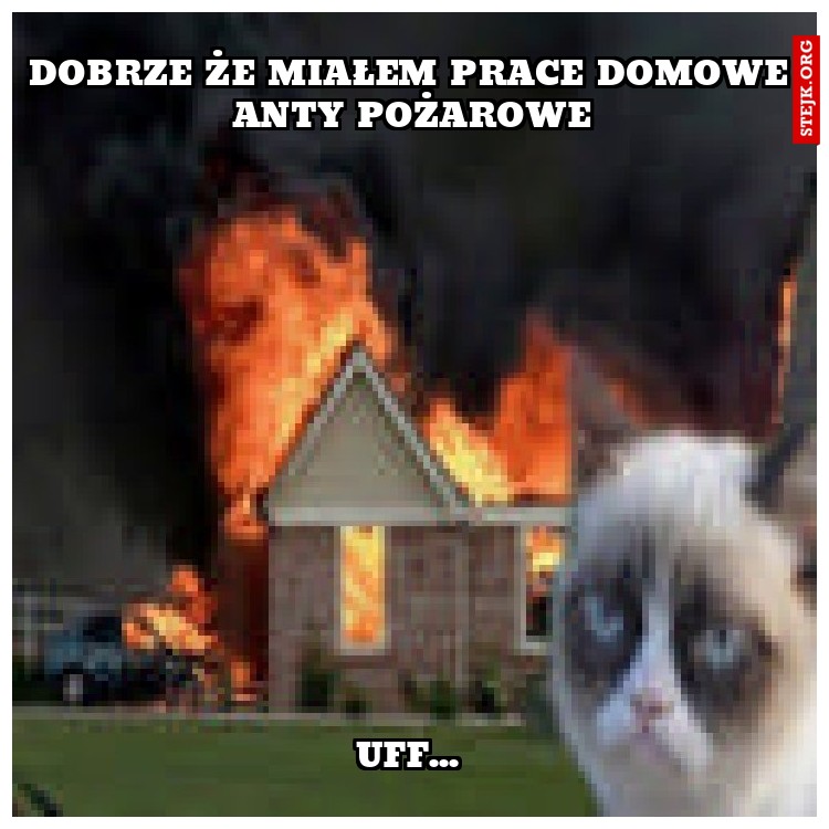anty porzarowe prace domowe