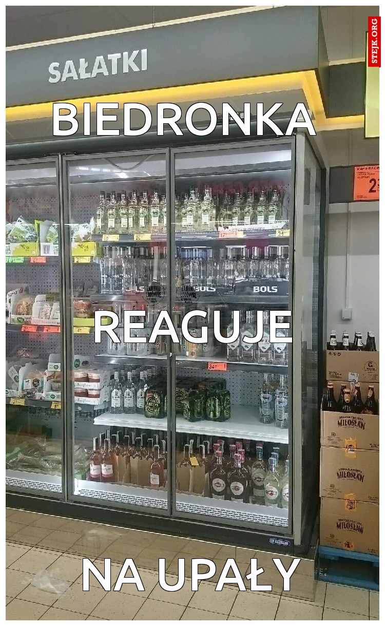 Biedronka