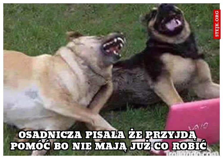 Osadnicza pisała że przyjdą pomóć bo nie mają już co robić