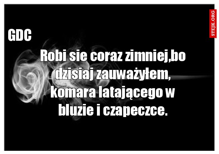 Robi sie coraz zimniej,bo dzisiaj zauważyłem, komara latającego w bluzie i czapeczce.