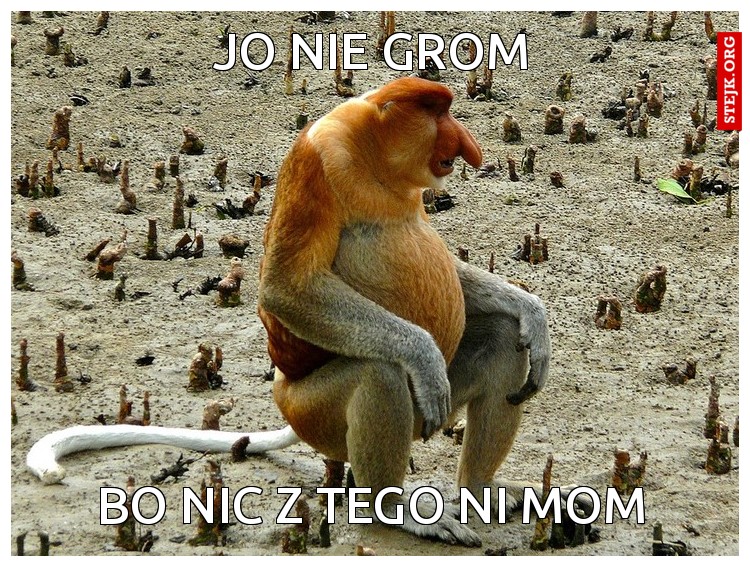 JO NIE GROM