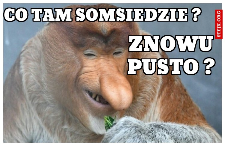 CO TAM SOMSIEDZIE ?