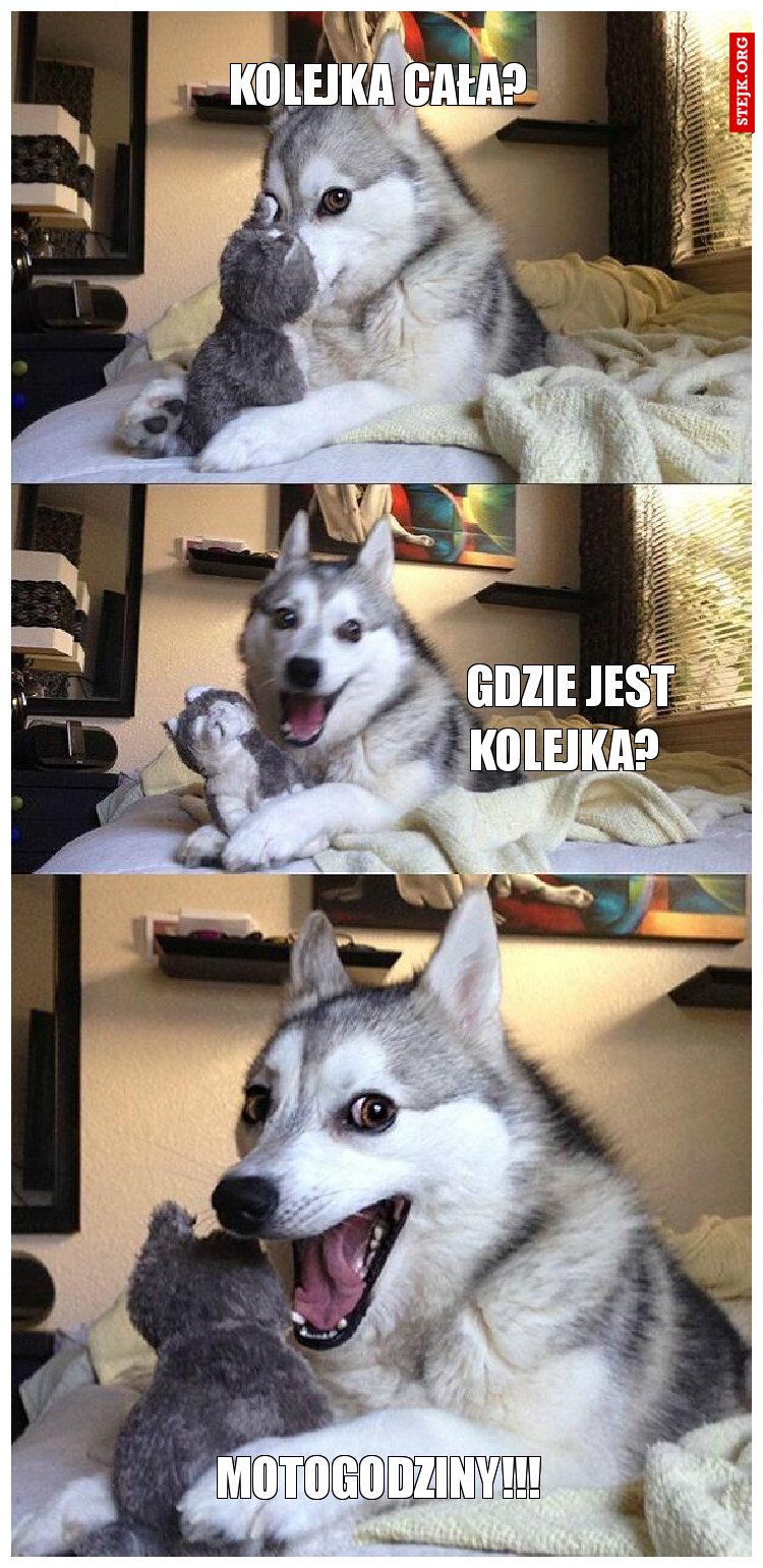 Kolejka cała? 
