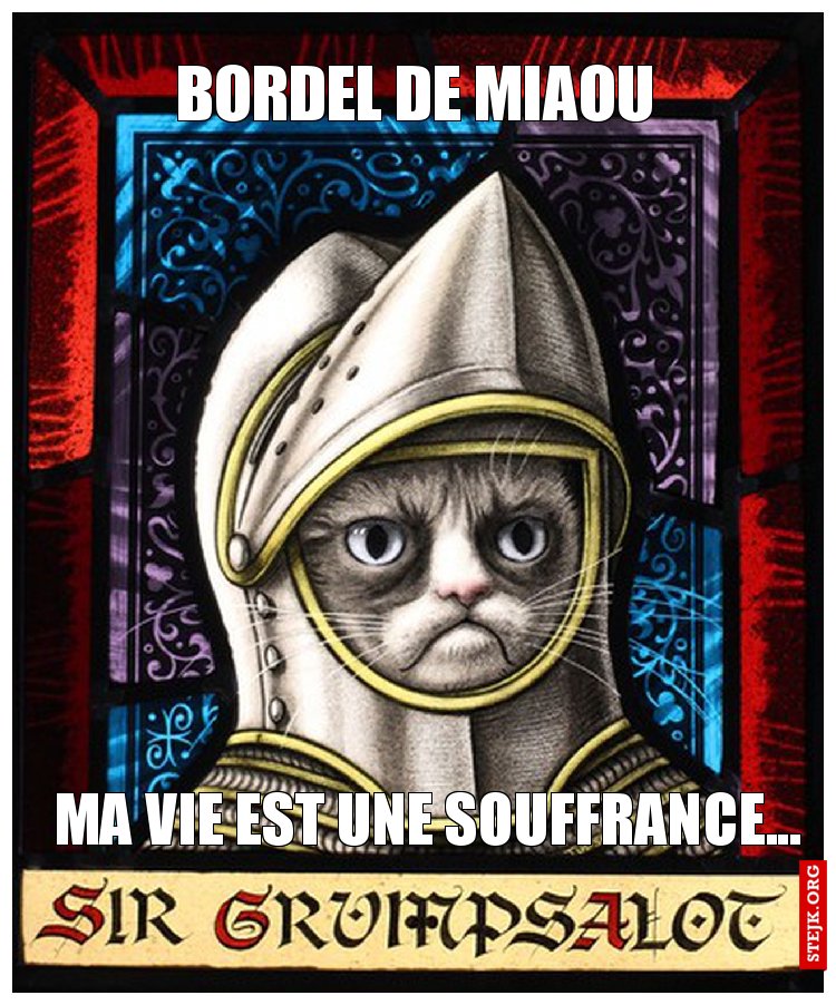 Bordel de miaou
