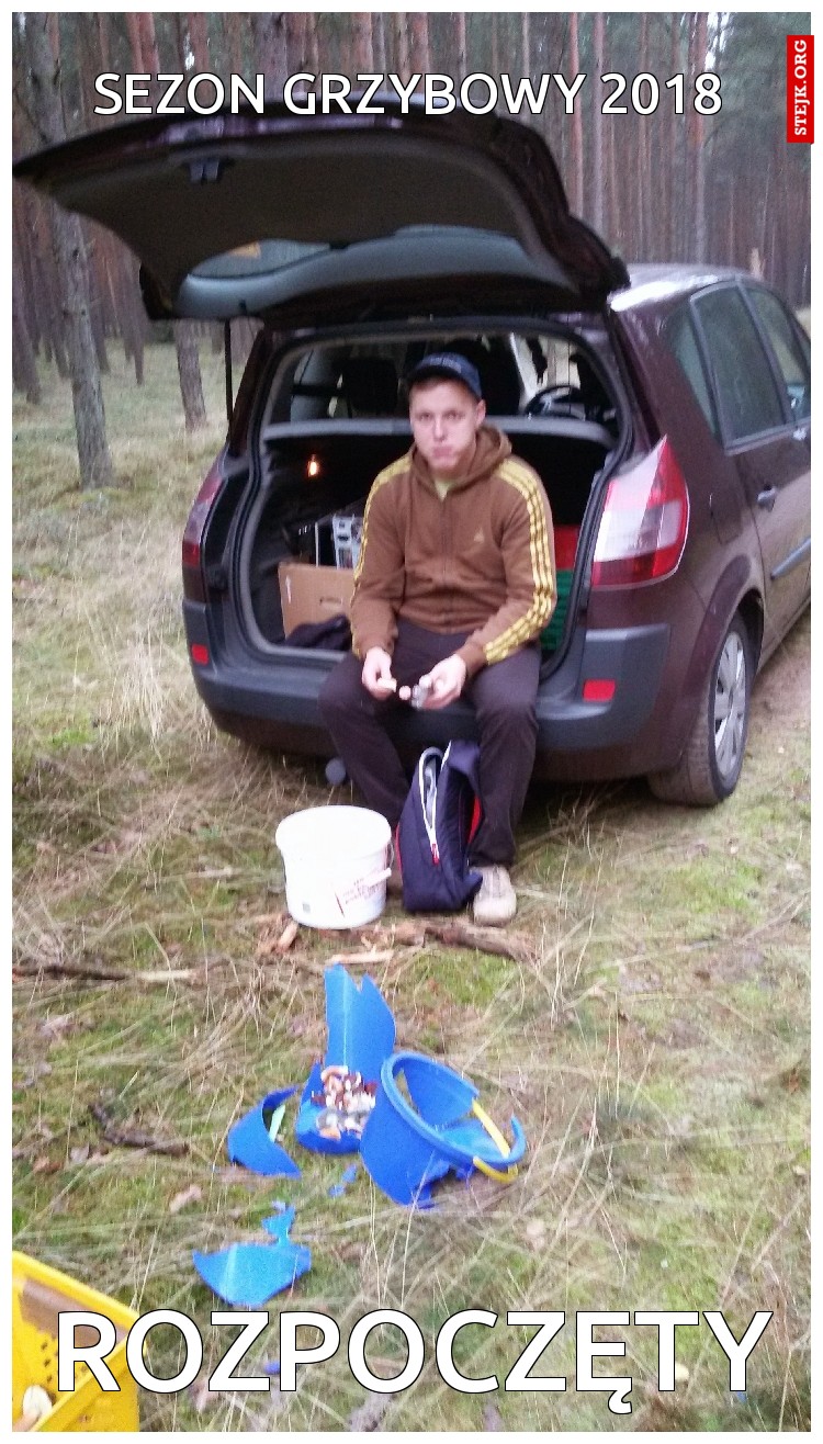 SEZON GRZYBOWY 2018