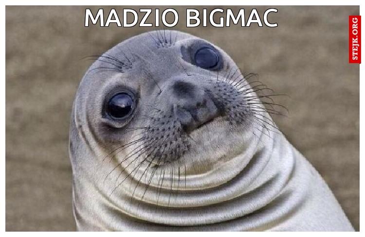 madzio bigMAC