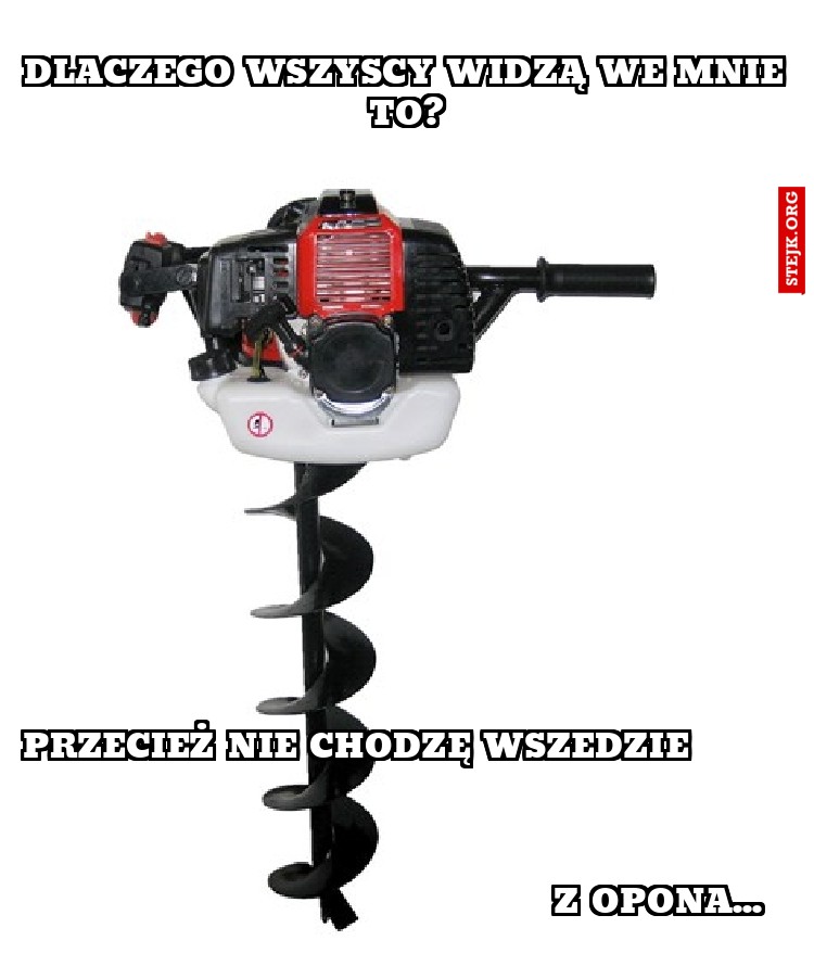 dlaczego wszyscy widzą we mnie to?