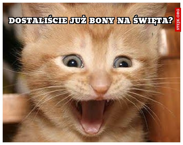 dostaliście już bony na Święta?
