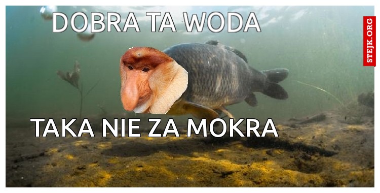 dobra ta woda