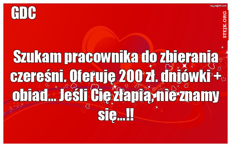Szukam pracownika do zbierania czereśni. Oferuję 200 zł. dniówki   obiad... Jeśli Cię złapią, nie znamy się...!!