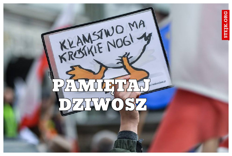 Pamiętaj Dziwosz