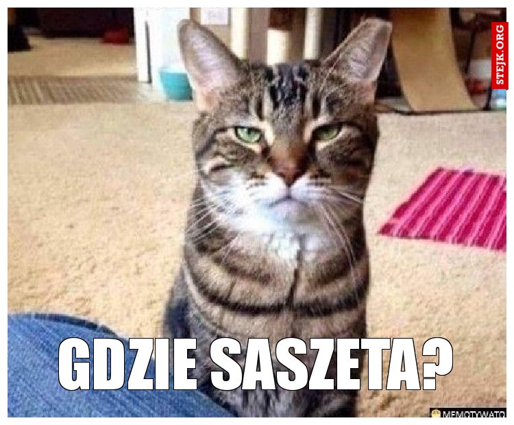 GDZIE SASZETA?