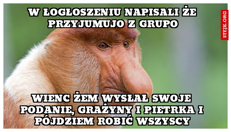 W Łogłoszeniu napisali że przyjumujo z grupo