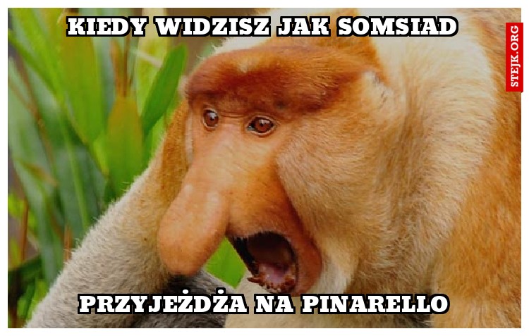 Kiedy widzisz jak somsiad