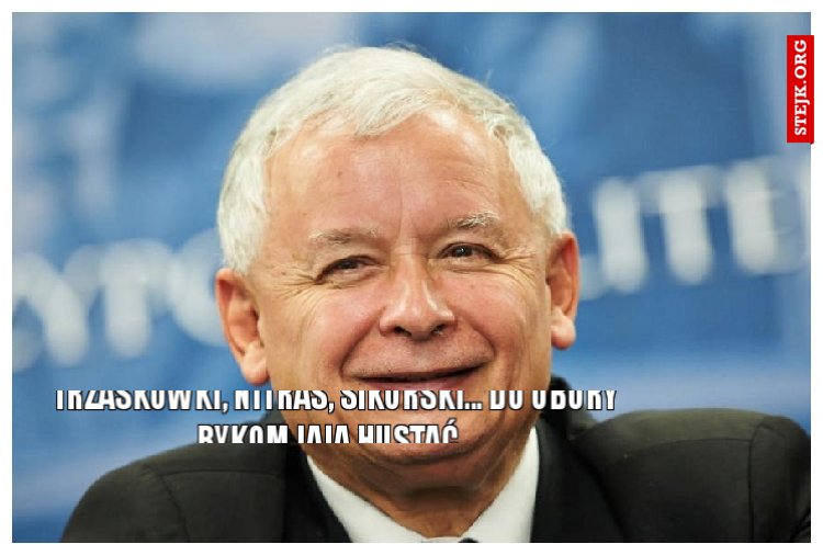 TRZASKOWKI, NITRAS, SIKORSKI... DO OBORY BYKOM JAJA HUSTAĆ...