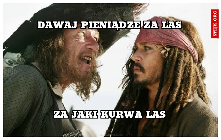 dawaj pieniądze za las