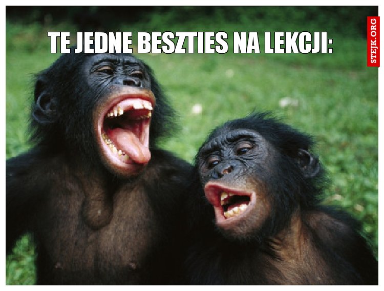 Te jedne beszties na lekcji: