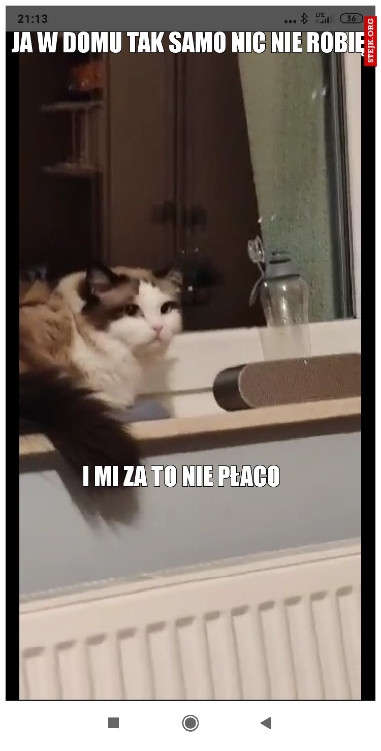 Ja w domu tak samo nic nie robię