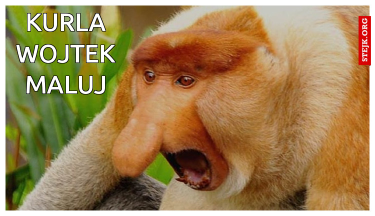 Kurla wojtek maluj