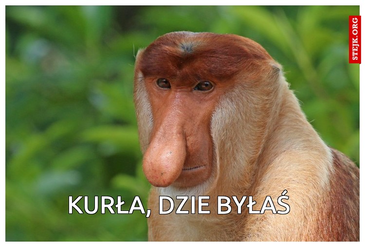 Kurła, dzie byłaś 