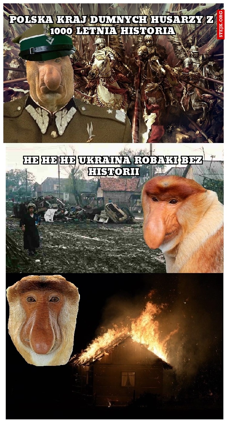 Polska kraj dumnych husarzy z 1000 letnia historia