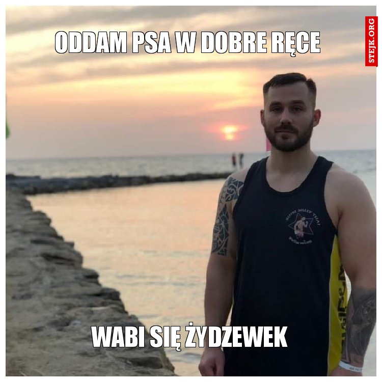 Oddam psa w dobre ręce 
