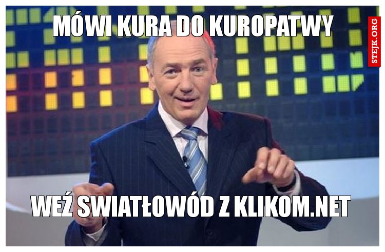 mówi kura do kuropatwy