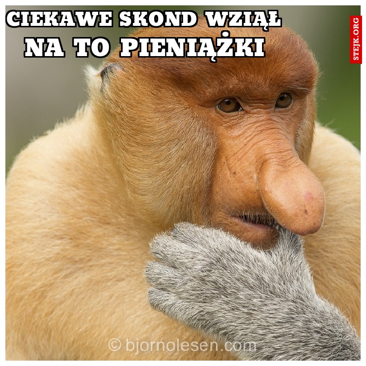 CIEKAWE SKOND WZIĄŁ