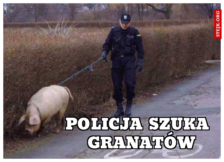 policja szuka  granatów