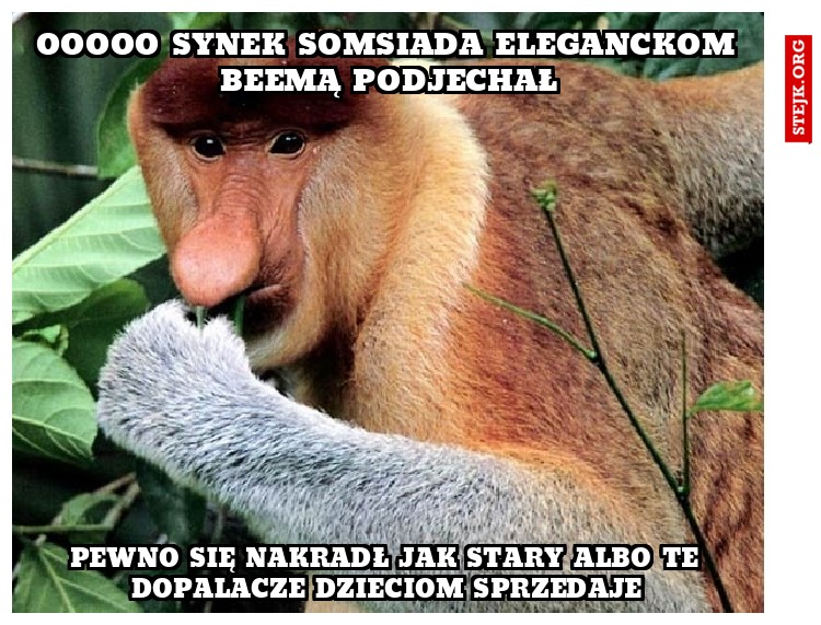 ooooo synek somsiada eleganckom beemą podjechał