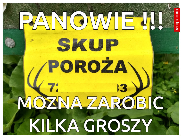 PANOWIE !!!