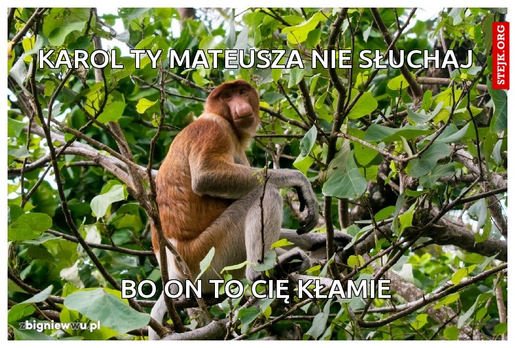 Karol ty mateusza nie słuchaj
