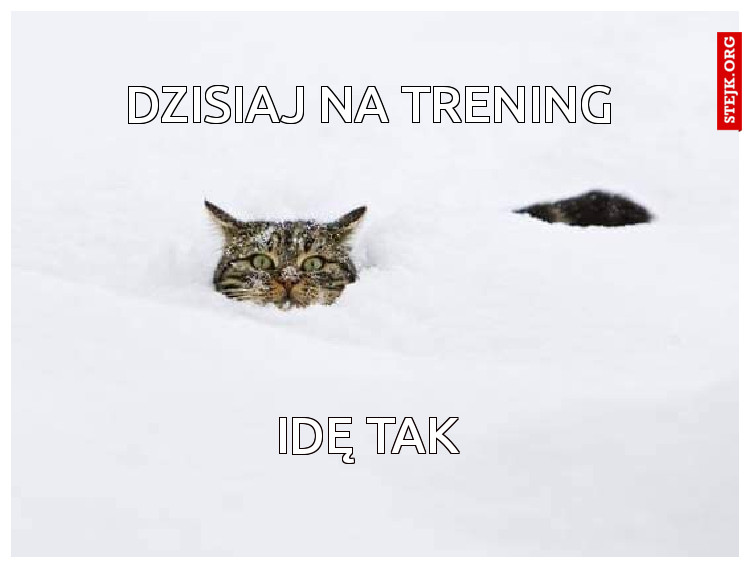 DZISIAJ NA TRENING