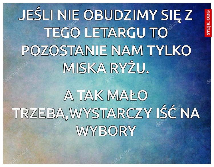 Jeśli nie obudzimy się z tego letargu to pozostanie nam tylko miska ryżu.