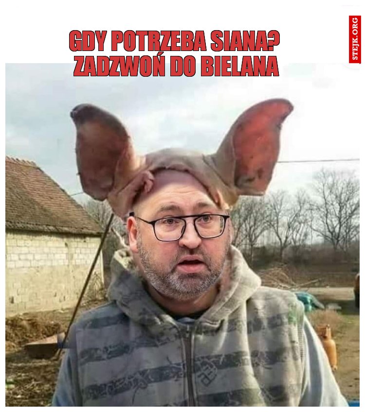 Gdy potrzeba siana?