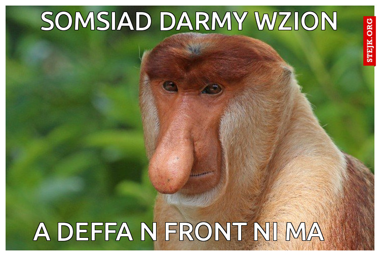 somsiad darmy wzion