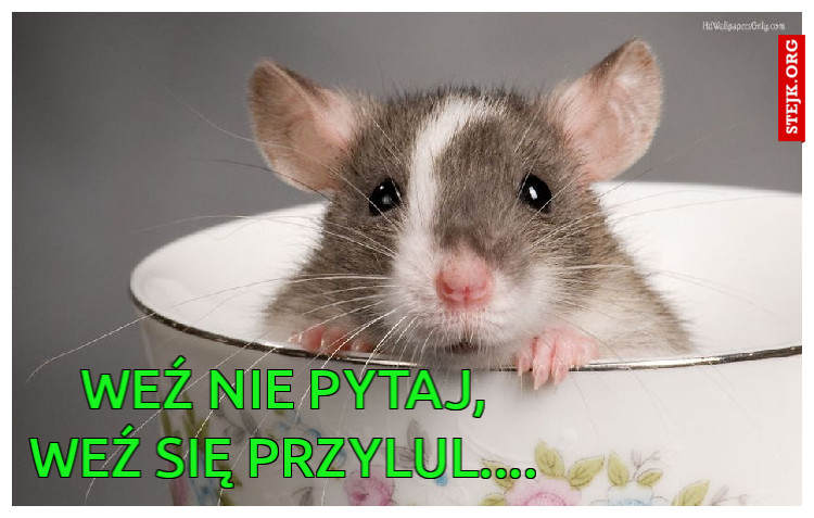 weź nie pytaj, weź się przylul....