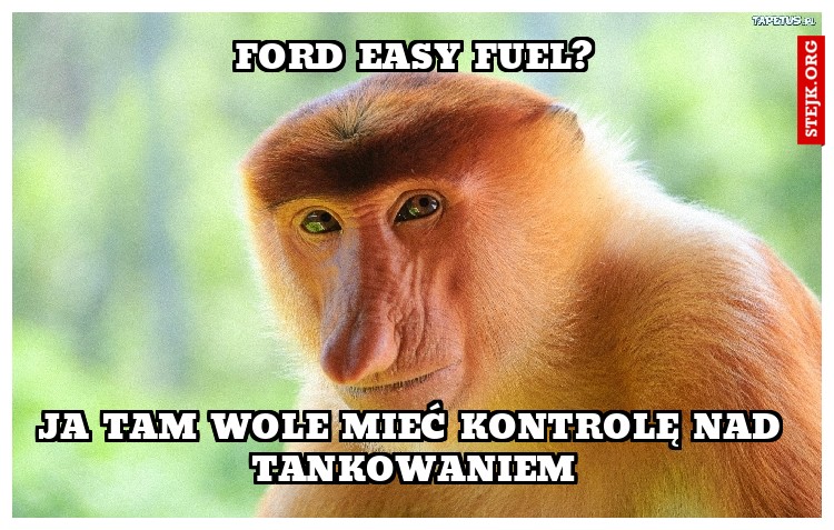 Ford Easy FuEl?
