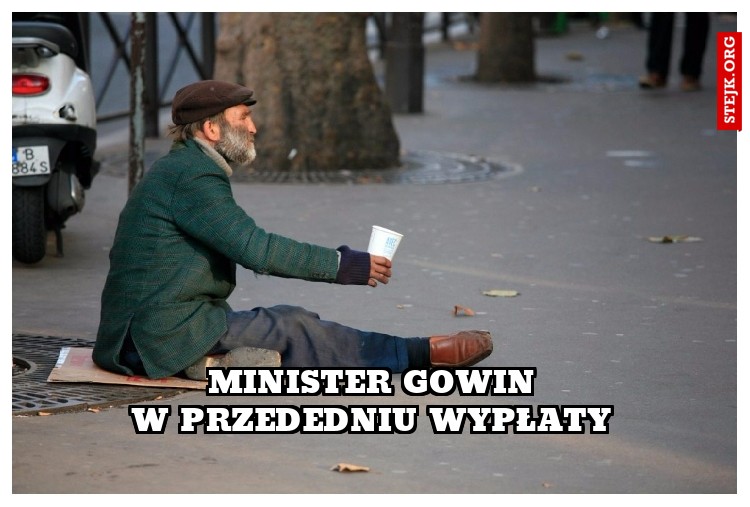 Minister Gowin