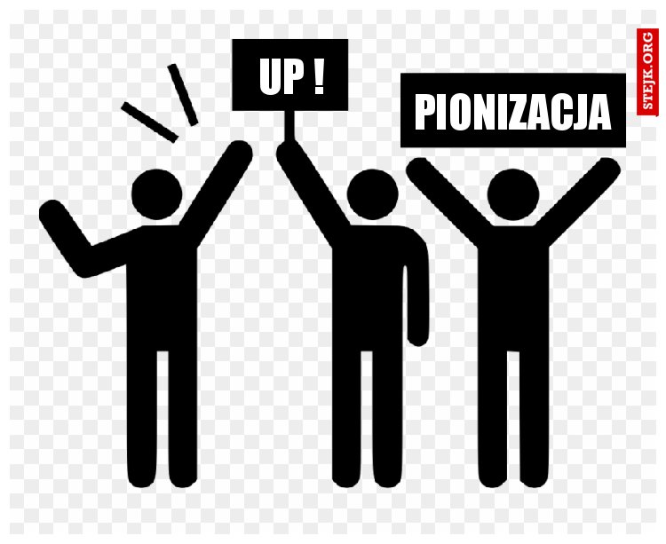 PIONIZACJA