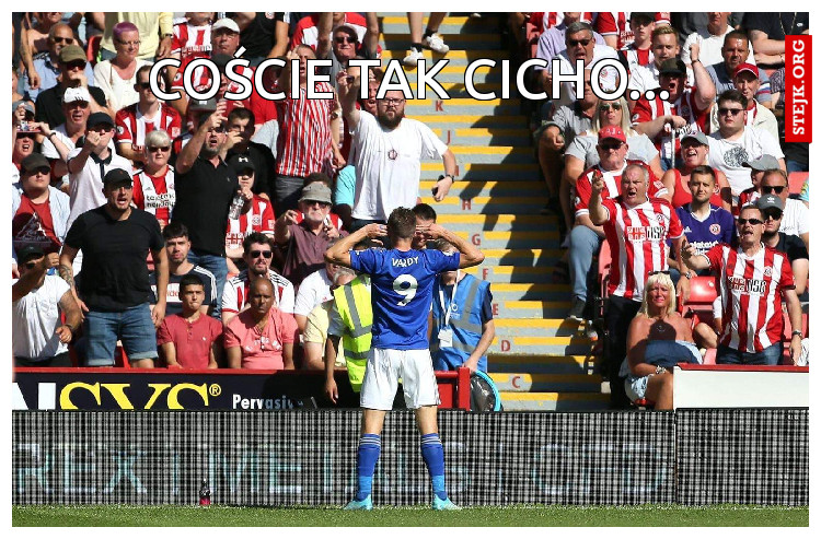 COŚCIE TAK CICHO...