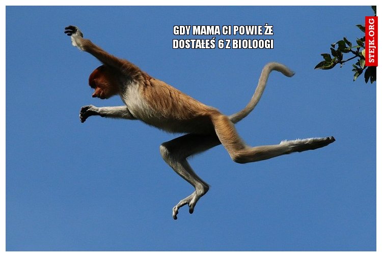 gdy mama ci powie że dostałeś 6 z bioloogi