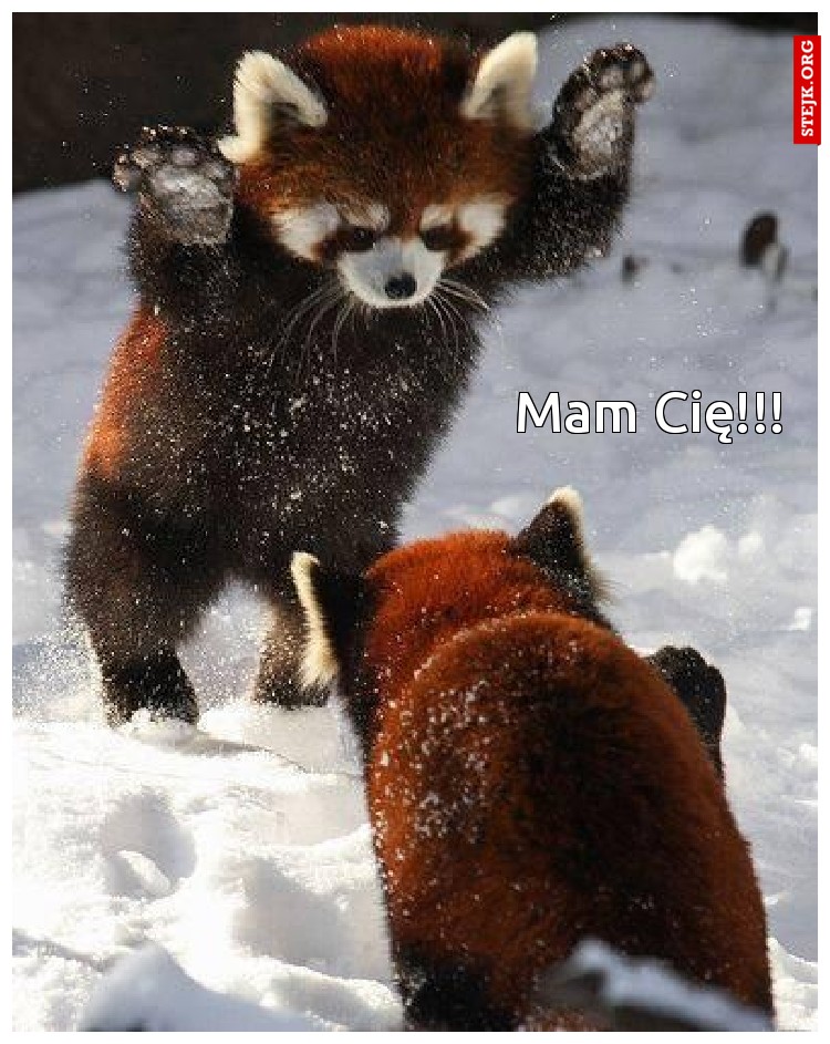 Mam Cię!!! 