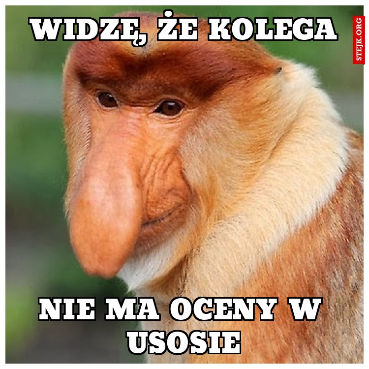 Widzę, że kolega
